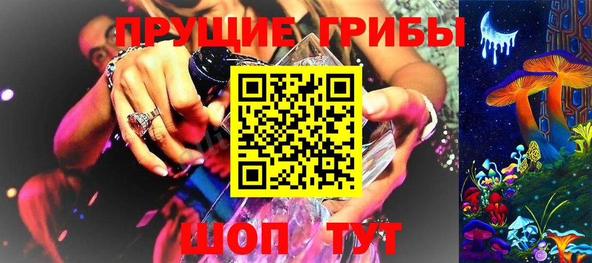 Псилоцибиновые грибы Psilocybe  Вход с VPN  Галлюциногенные грибы MAGIC MUSHROOMS  Заводоуковск 